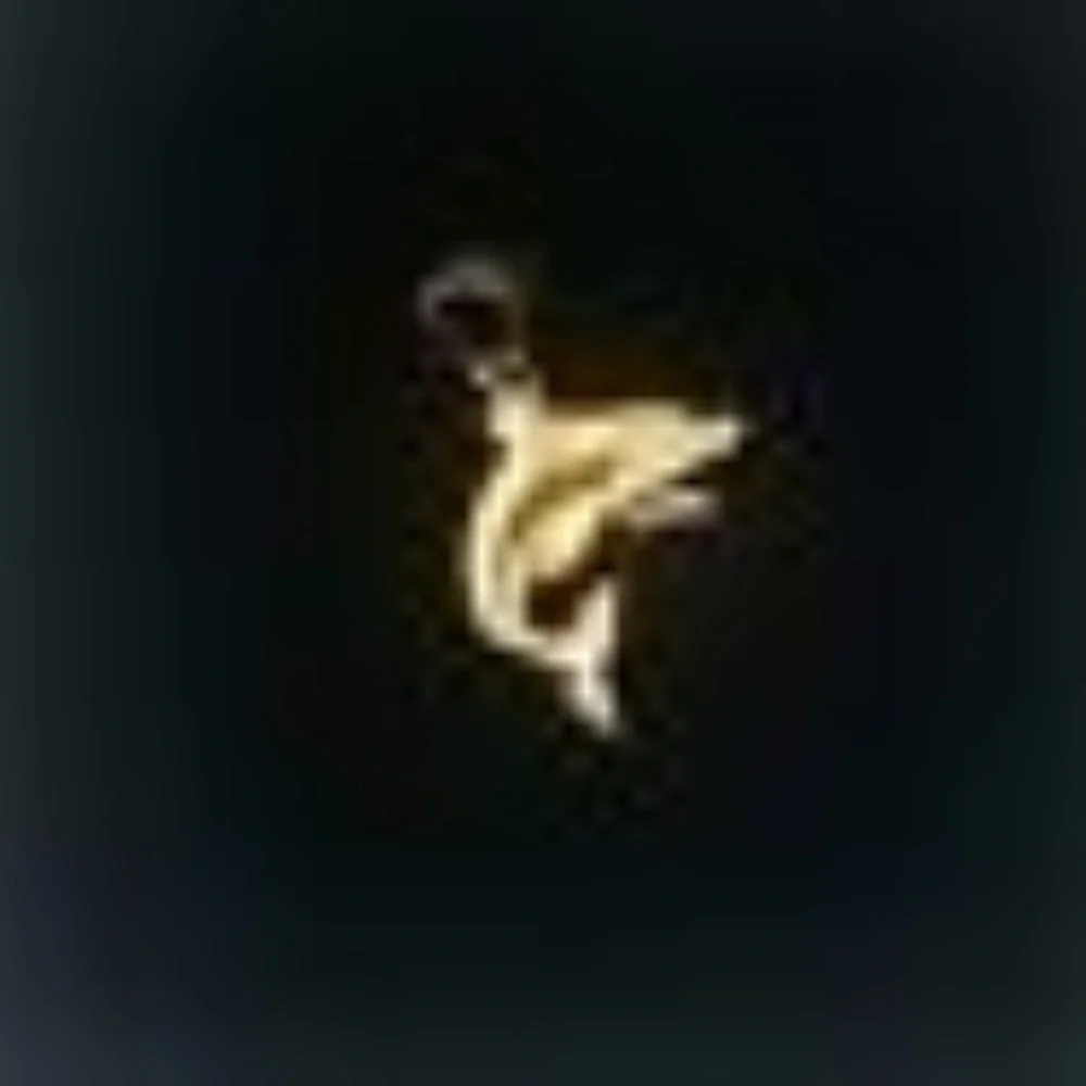 14k Solid Yellow Gold Dolphin Charm Pendant